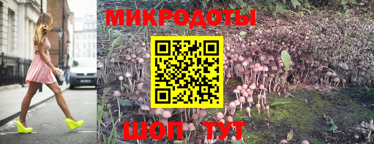 Галлюциногенные грибы Psilocybine cubensis Железноводск