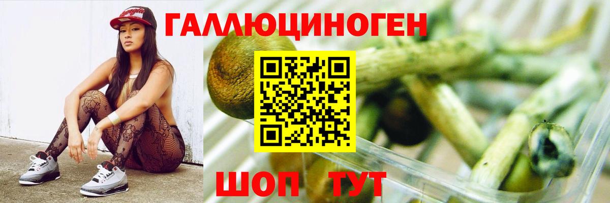 Галлюциногенные грибы прущие грибы  Галлюциногенные грибы Psilocybe  Вход с VPN  Железноводск 